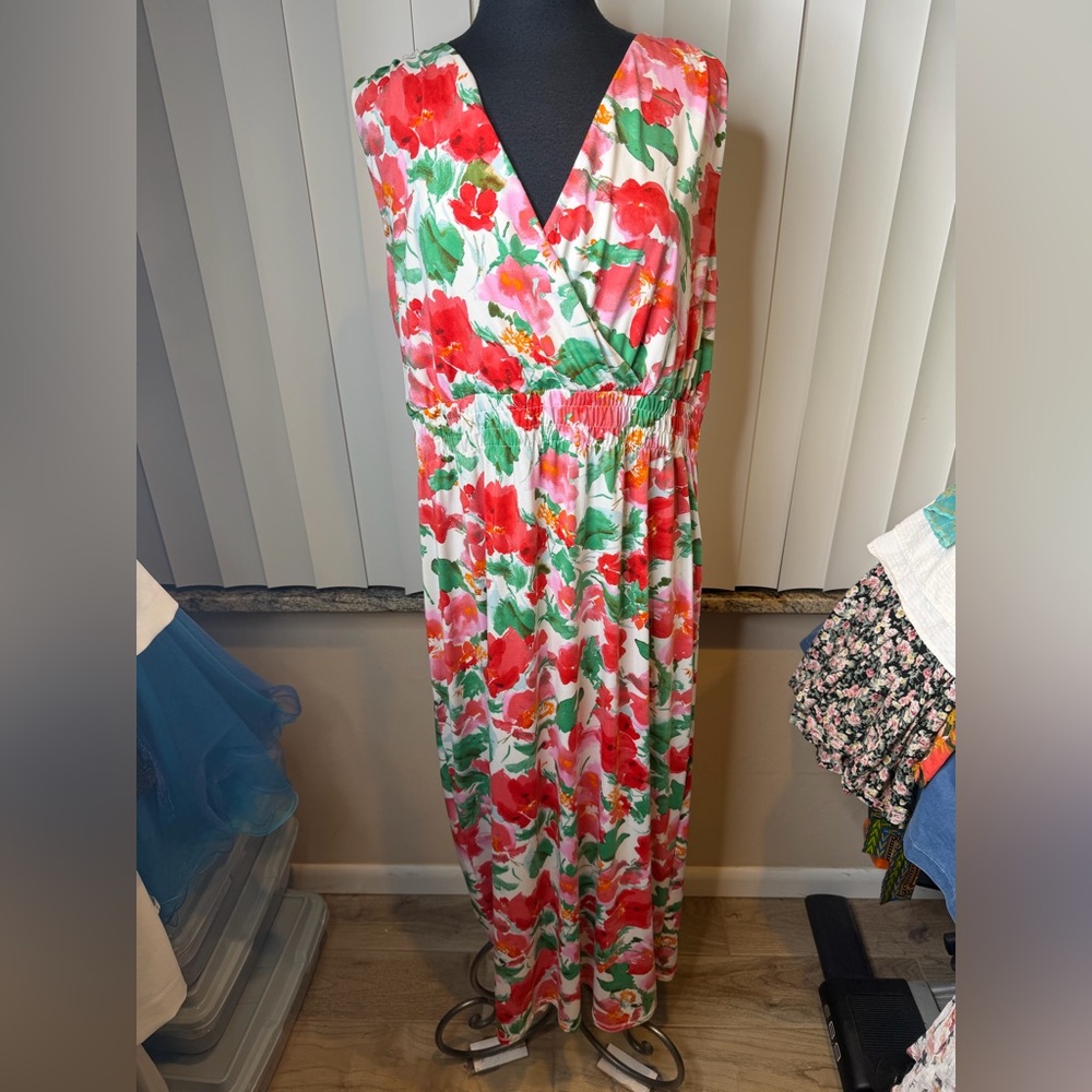 Nina Leonard Sleeveless Multi Colored Floral V-Neck Maxi Dress Plus Size 1X